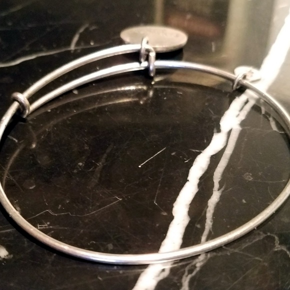 Alex And Ani Friend Charm Bangle Bracelet Russian - Picture 2 of 8